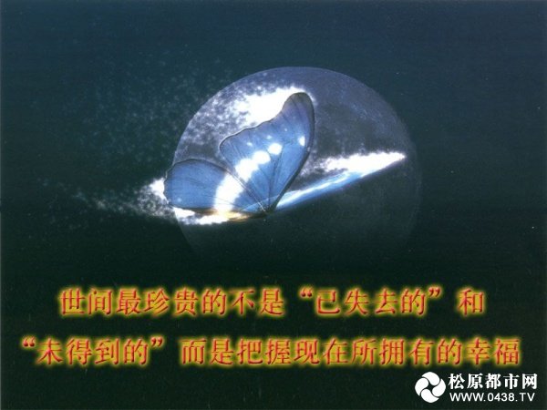 cd399425153f9d6134a80fb3.jpg