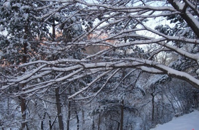 201212261215617.jpg