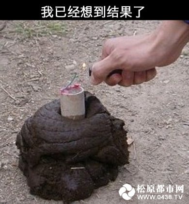 爆！！我已经想到结果了！.jpg
