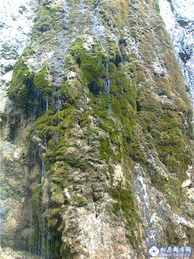 雾灵山03.jpg