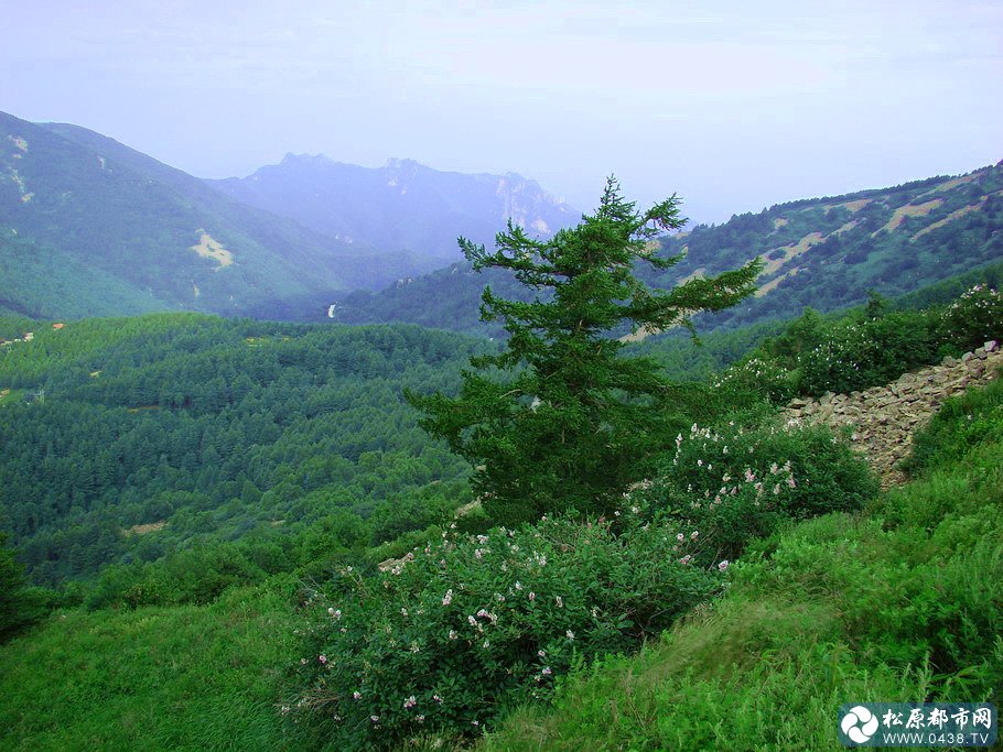 雾灵山22.jpg