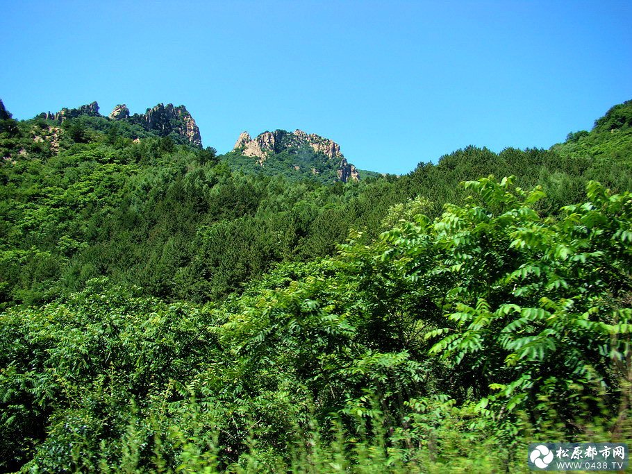 雾灵山66.jpg