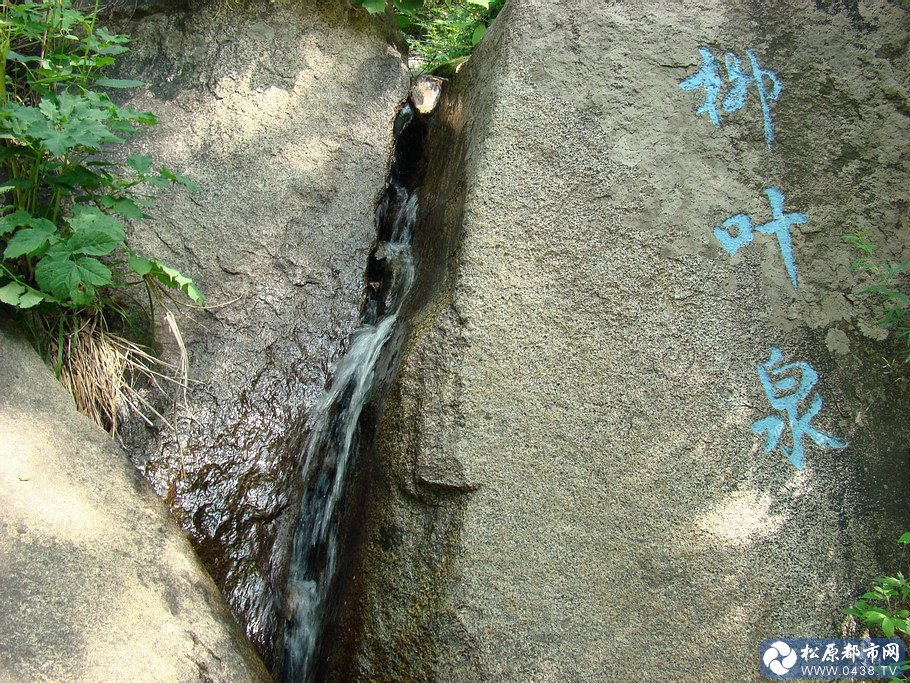 雾灵山88.jpg