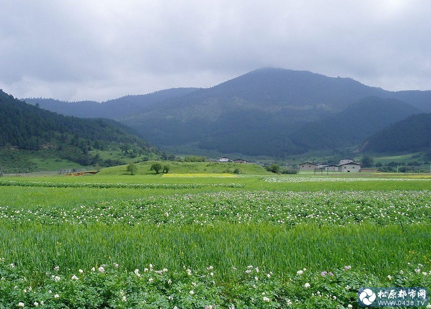 香格里拉7.jpg