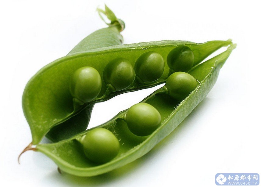 豌豆.jpg