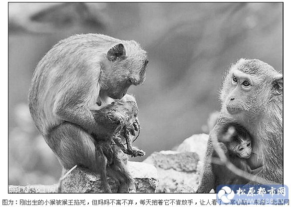 QQ截图20140401085542.png