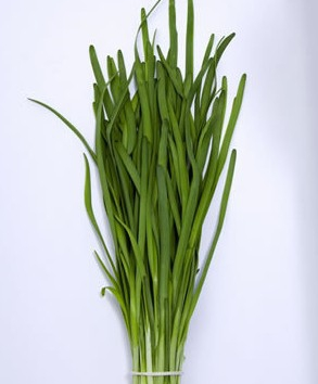 QQ截图20140408112700.png
