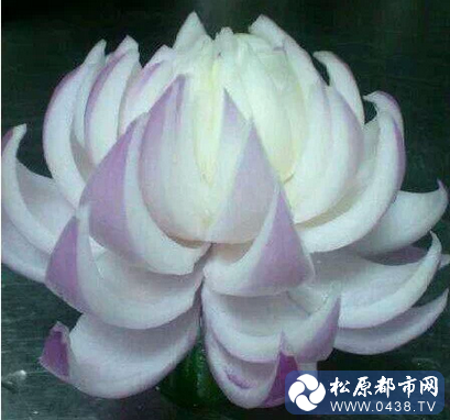 QQ截图20140414105556.png