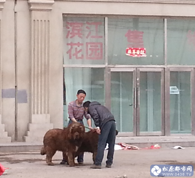 QQ截图20140513152308.png