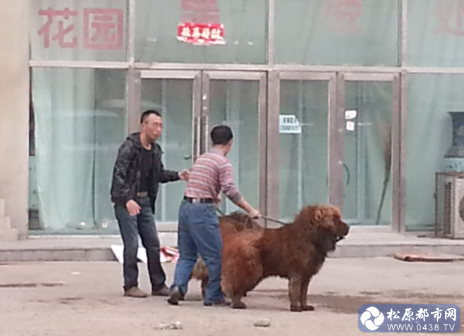 QQ截图20140513152315.png