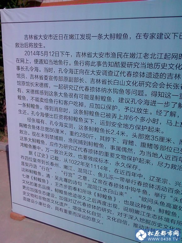 ad4bd11373f08202efcc9dc949fbfbedaa641bed.jpg