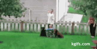 62d9f2d3572c11df827676df612762d0f603c2a3.gif