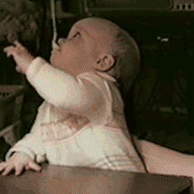 3912b31bb051f81988b9cab6d8b44aed2f73e7aa.gif