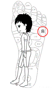 0 (9).gif