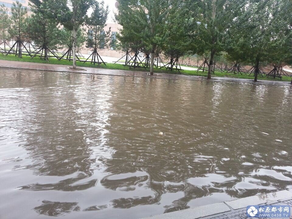 QQ图片20140717104650.jpg