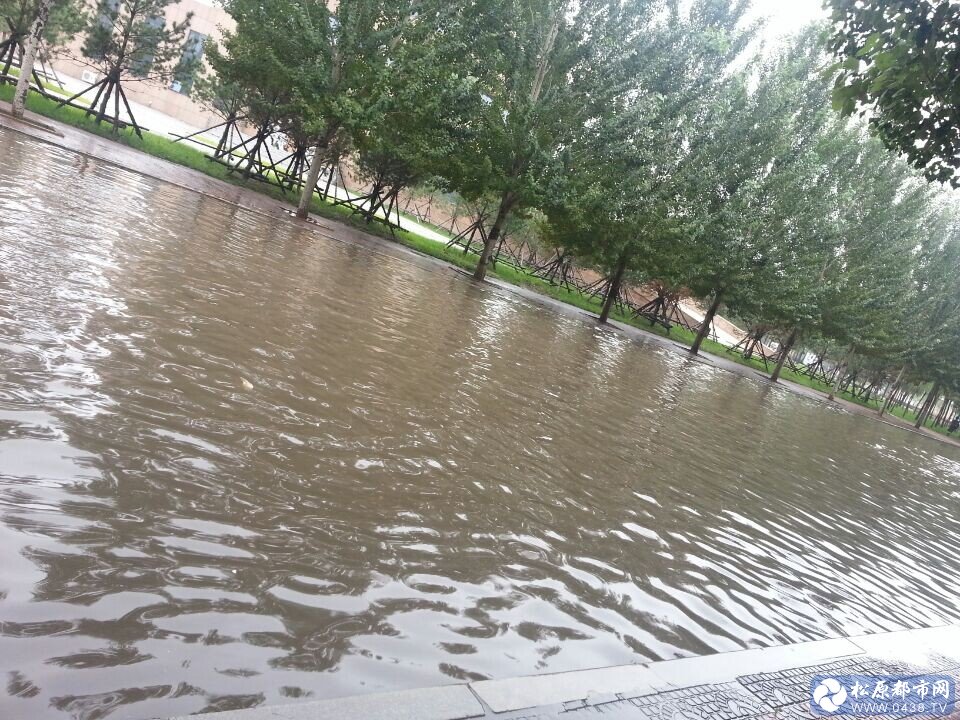 QQ图片20140717104646.jpg