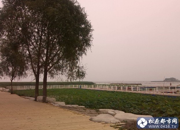 QQ图片20140825085241.jpg