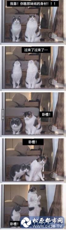79cf3c6d55fbb2fbcb3fe6034c4a20a44623dca8.jpg