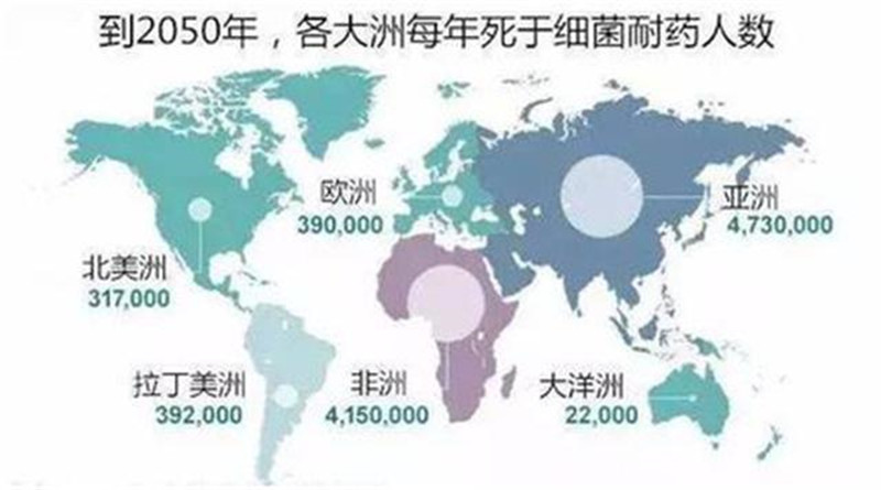 地图.jpg