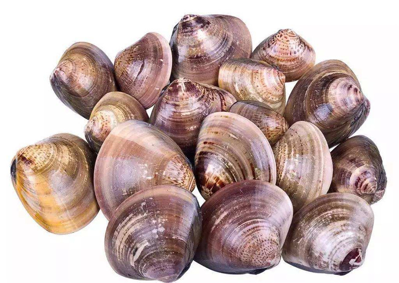 geli.jpg