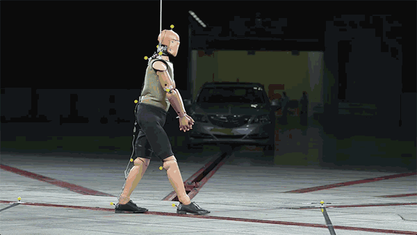 15126951134232.gif